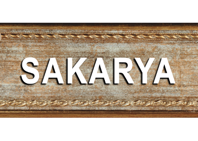 SAKARYA SERİSİ